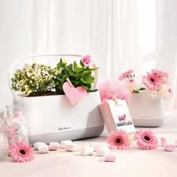 Корзинка для растений Юла бел/фисташковый