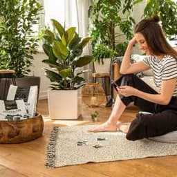 Субстрат Lechuza PON 12 L 2020