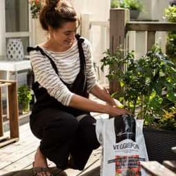 Субстрат для овощей   Lechuza VEGGIEPON  12 L