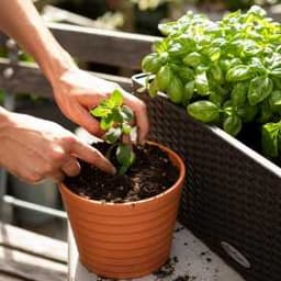 Субстрат для овощей   Lechuza VEGGIEPON  6 L