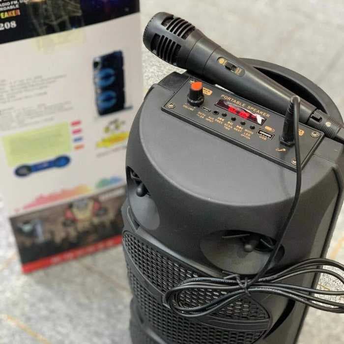 Портативная колонка музыкальный центр RX-6208 + микрофон