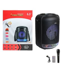 Портативная колонка RX-6101