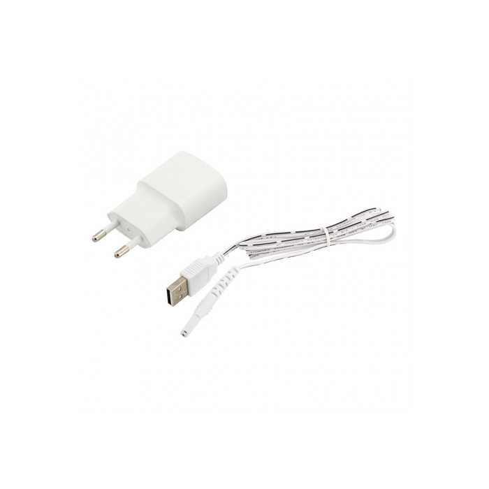 Ирригатор Revyline RL 210