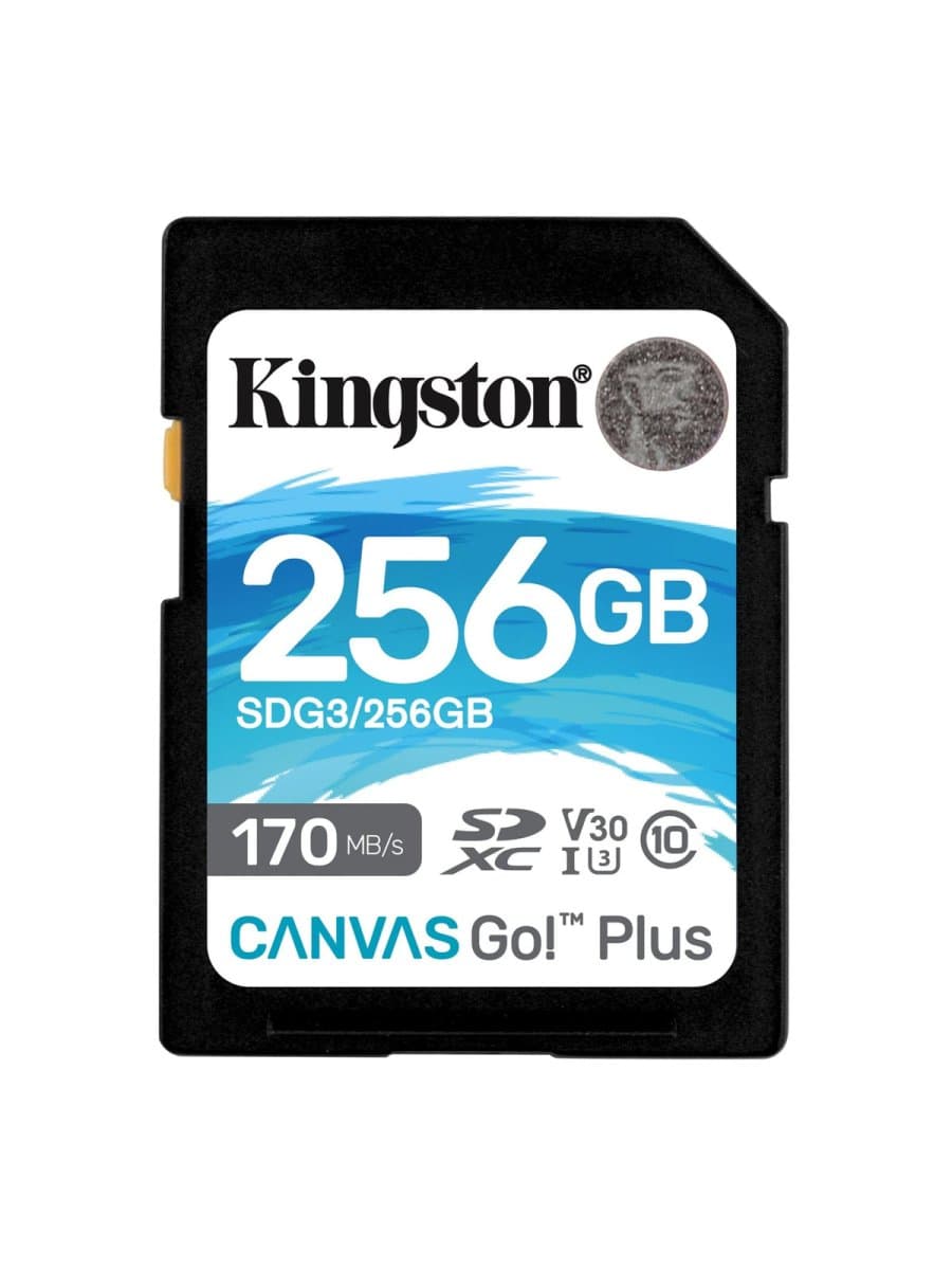 Карта памяти Secure Digital Card Kingston 256GB Canvas Go! Plus Class 10, UHS-I, U3, V30 [SDG3/256GB]