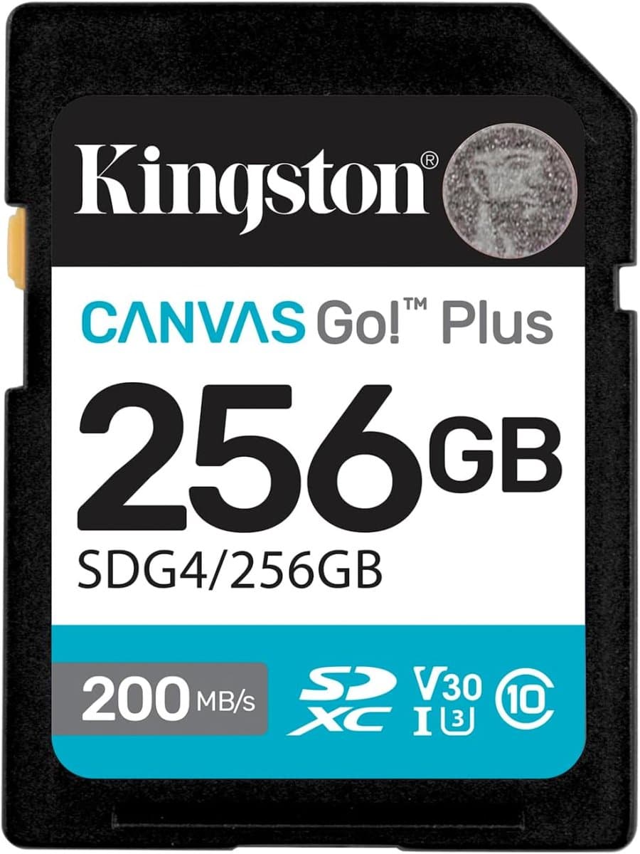 Карта памяти Secure Digital Card Kingston 256GB Canvas Go! Plus Class 10, UHS-I, U3, V30 [SDG4/256GB]