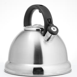 Чайник LARA 4,5л LR00-59