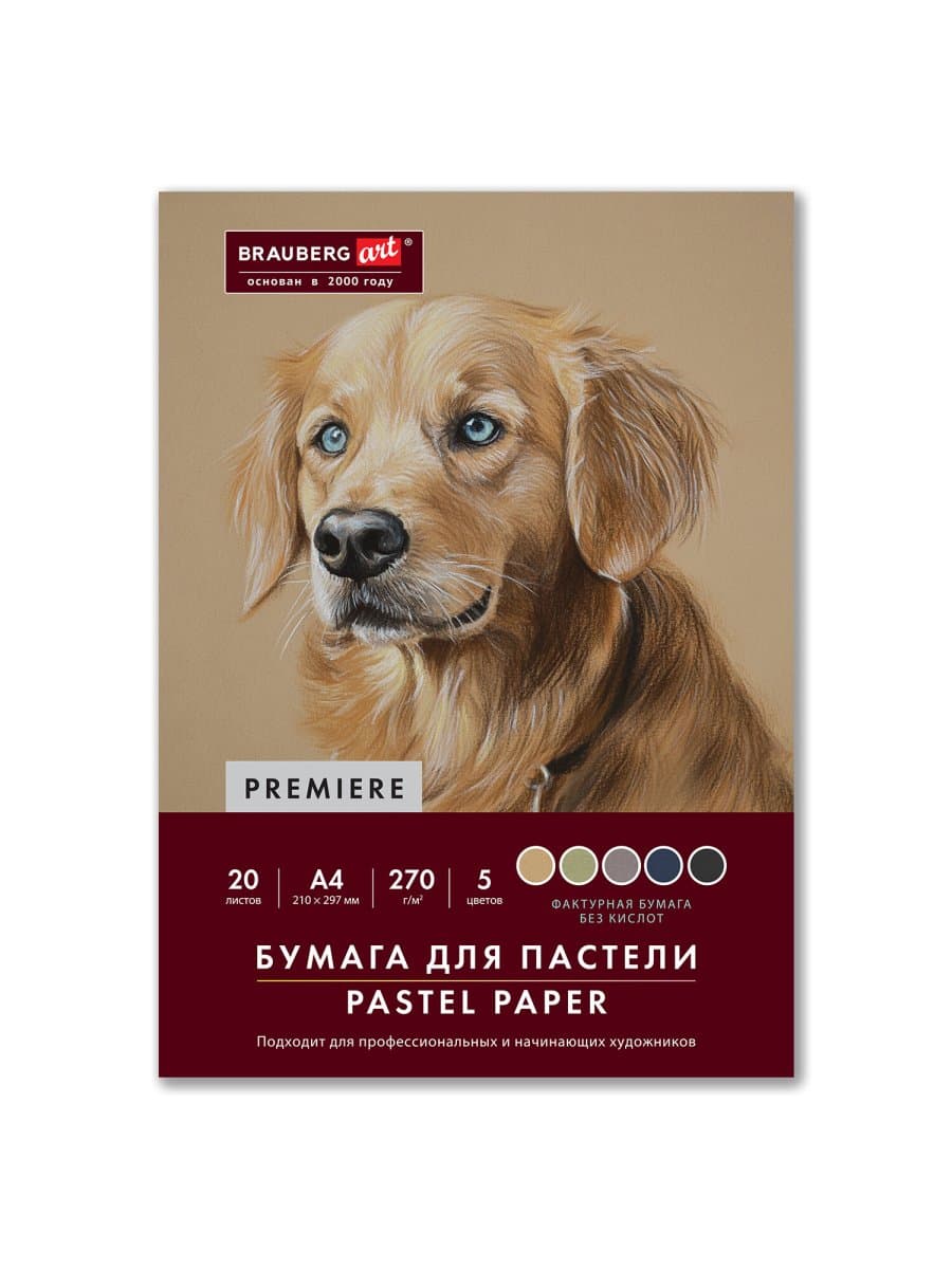 Бумага для пастели ФАКТУРНАЯ, А4, в папке, 20 листов, 5 цветов, 270 г/м2, BRAUBERG ART, 117755