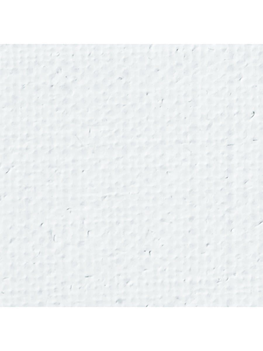 Холст на подрамнике BRAUBERG ART PREMIERE, 60х80см, грунтованный, 100% лен, среднее зерно, 190642
