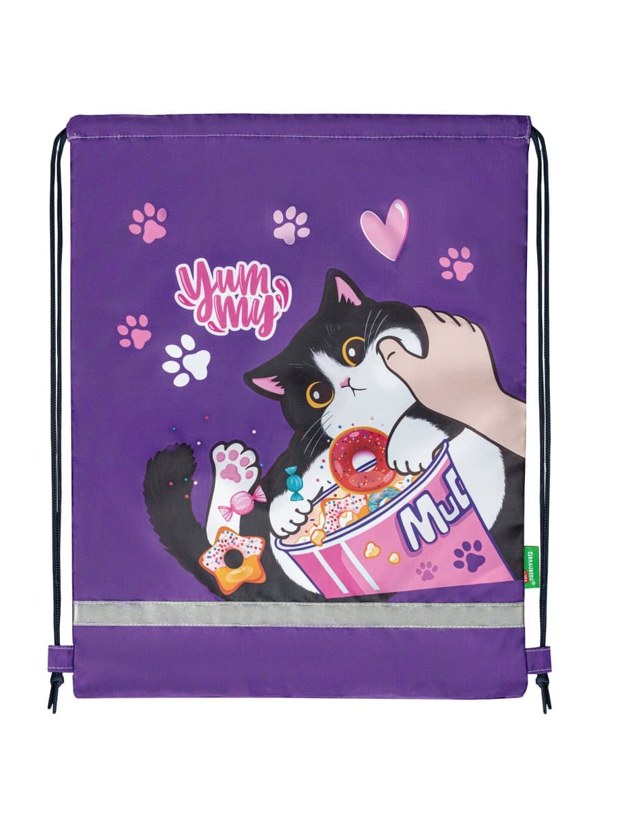 Мешок для обуви BRAUBERG KIDS, светоотражающая полоса, 46х36 см, "Sweet cheeks", 272390