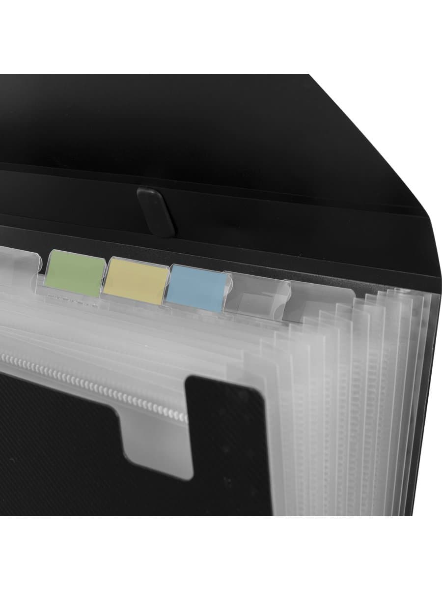 Папка-портфель пластиковая BRAUBERG А4 (332х245х35 мм), 13 отделений, фактура диагональ, черная, 221375