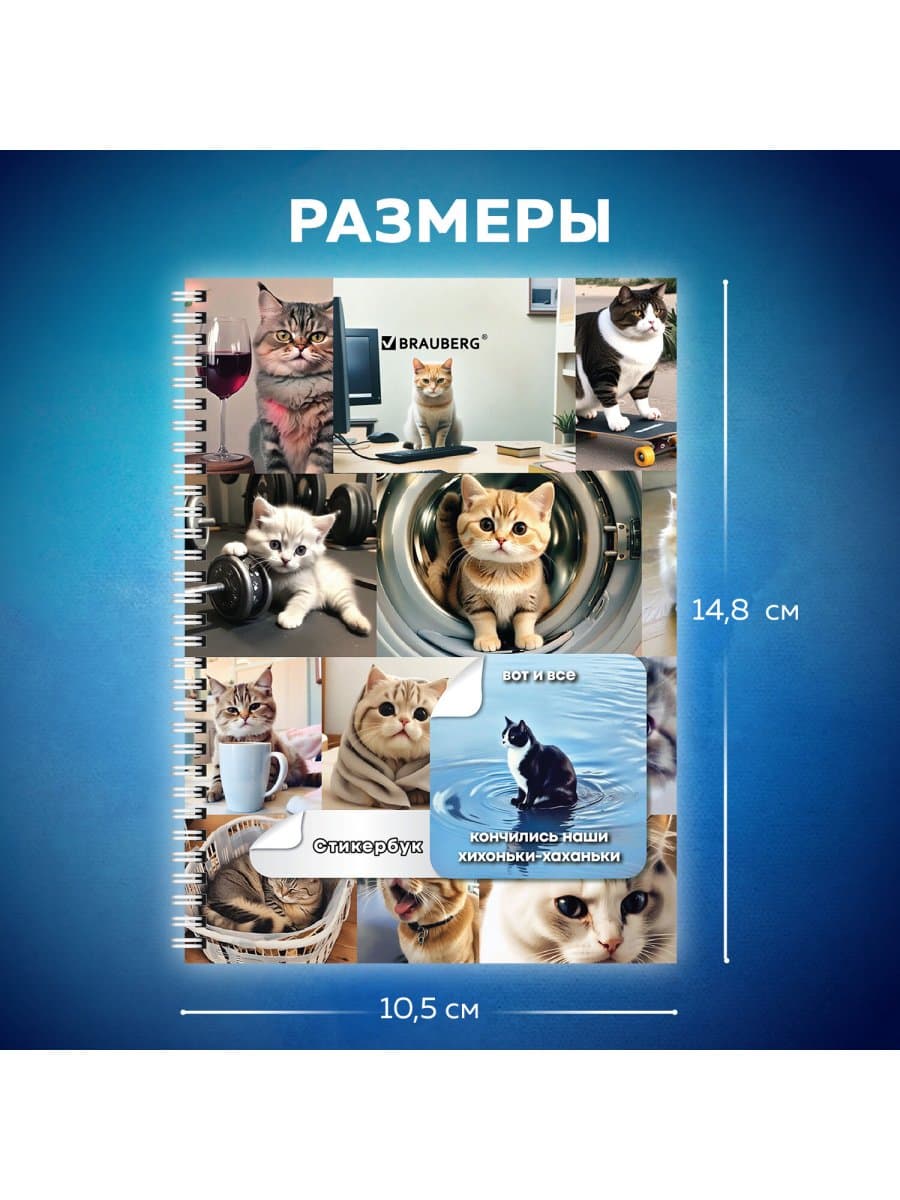 Стикербук ПРОСТО НАКЛЕЙ А6, 16 листов, 96 цветных стикеров, на гребне, BRAUBERG, "Коты мемы", 666050