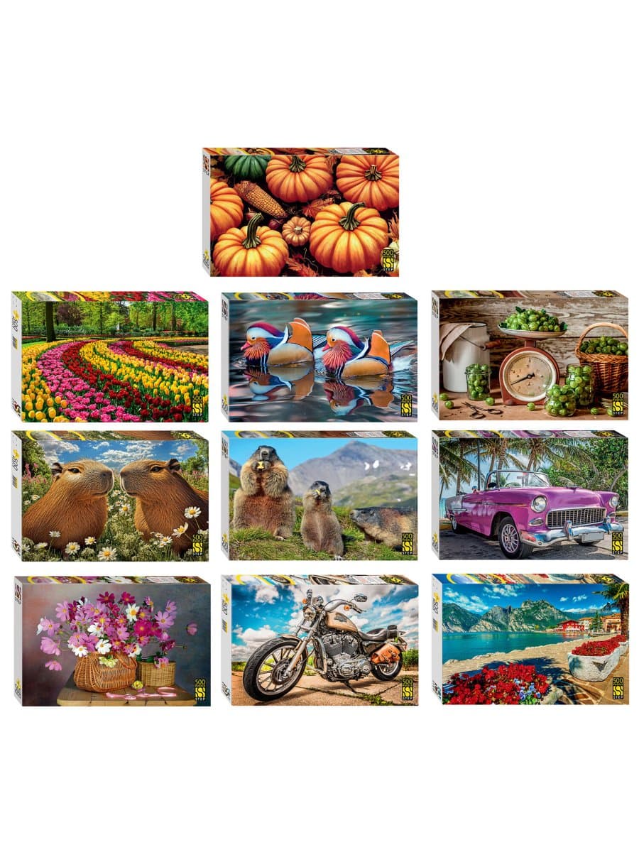 Пазл картонный, 500 элементов, АССОРТИ, поле 50х34,5 см, STEP PUZZLE