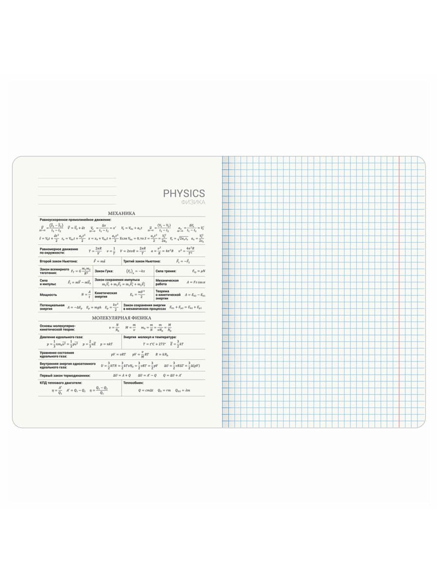 Тетрадь предметная "КОТ-ЭНТУЗИАСТ" 48 л., TWIN-лак, ФИЗИКА, клетка, подсказ, BRAUBERG, 404566
