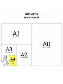 Бумага для цветной лазерной печати А4, ПЛОТНАЯ 100 г/м2, 250 л., BRAUBERG DIGITAL, 145% (CIE), 115377
