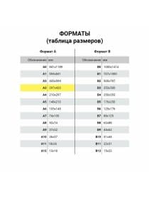 Бумага для цветной лазерной печати БОЛЬШОЙ ФОРМАТ (297х420), А3, 160 г/м2, 100 л., BRAUBERG, 115382