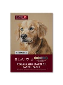 Бумага для пастели ФАКТУРНАЯ, А4, в папке, 20 листов, 5 цветов, 270 г/м2, BRAUBERG ART, 117755
