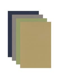 Бумага для пастели ФАКТУРНАЯ, А3, планшет (склейка), 20 листов, 4 цвета, 270 г/м2, BRAUBERG ART, 117762