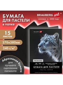 Бумага для пастели АБРАЗИВНАЯ А3, 270х380 мм, в папке, 15 листов, ЧЕРНАЯ, 240 г/м2, BRAUBERG ART, 117766