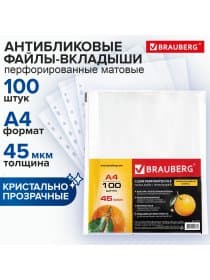Папки-файлы перфорированные А4 BRAUBERG "PREMIUM", КОМПЛЕКТ 100 шт., матовые, 45 мкм, 221713