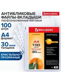 Папки-файлы перфорированные, А4, BRAUBERG "STANDARD", комплект 100 шт., матовые, 30 мкм, 221991