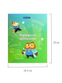 Папка-портфолио школьника "ОТЛИЧНИК", 4 кольца, 20 файлов, 10 вкладышей, 7БЦ матовая, BRAUBERG, 115240