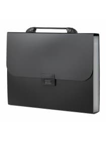 Папка-портфель пластиковая BRAUBERG "Energy" А4 (330х256х32 мм), 7 отделений, черная, 221204