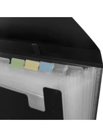Папка-портфель пластиковая BRAUBERG А4 (332х245х35 мм), 13 отделений, фактура диагональ, черная, 221375
