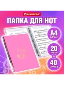 Папка-тетрадь для нот А4, 20 вкладышей на 40 страниц, на гребне, пластик, РОЗОВАЯ, BRAUBERG, 404642