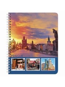 Тетрадь А5, 96 л., BRAUBERG, гребень, клетка, обложка картон, СТРАНЫ, 403068
