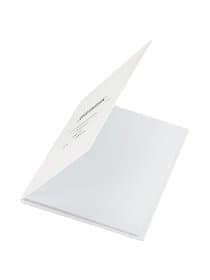 Дневник 1-11 класс 40 л., твердый, BRAUBERG, матовая ламинация, БЕЛЫЙ, 105540