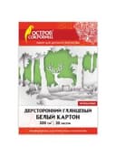 Картон белый А4 МЕЛОВАННЫЙ (белый оборот), 20 листов, в папке, ОСТРОВ СОКРОВИЩ, 200х290 мм, 111313