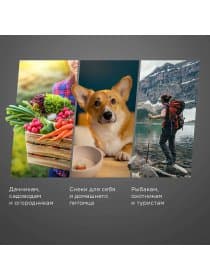 Сушилка для овощей и фруктов Redmond FD1100