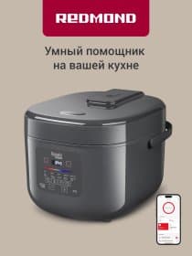 Мультиварка Redmond MC100S