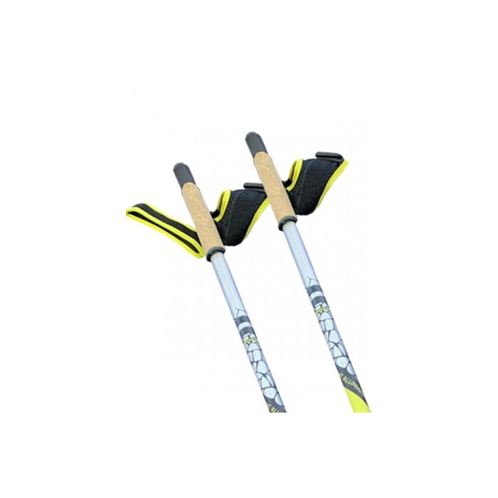 Скандинавские палки Finpole Speed пробка