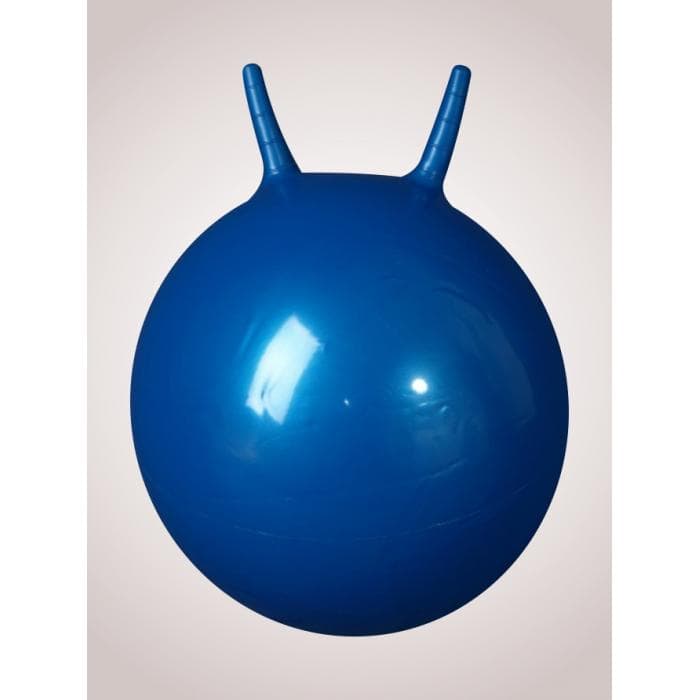 Мяч гимнастический детский (синий) 55 см (L 2355b)