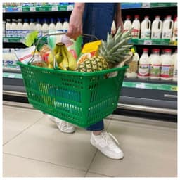 Корзина пластиковая стандартная с 2-мя ручками (Зеленый)