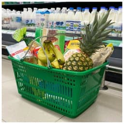 Корзина пластиковая стандартная с 2-мя ручками (Зеленый)