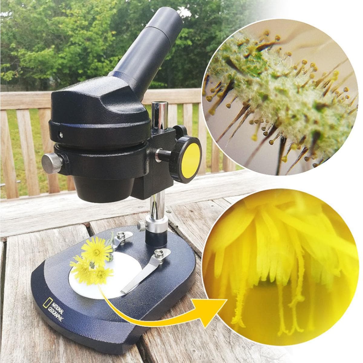 Микроскоп стереоскопический Bresser National Geographic 20x