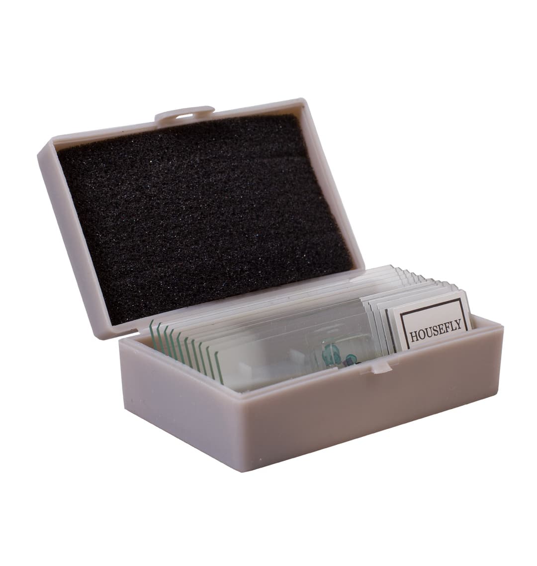 Набор для опытов Levenhuk K50