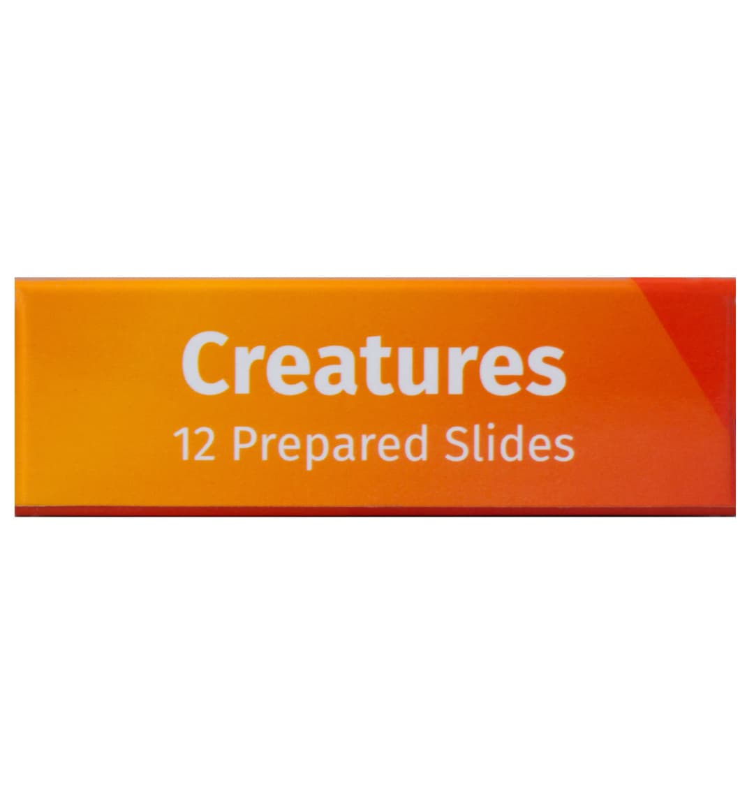 Набор микропрепаратов Levenhuk LabZZ C12, существа