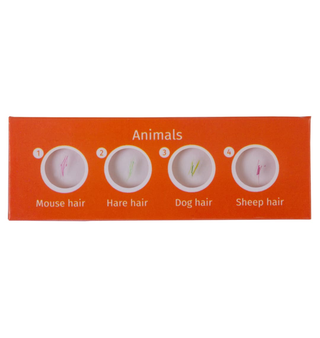 Набор микропрепаратов Levenhuk LabZZ C12, существа