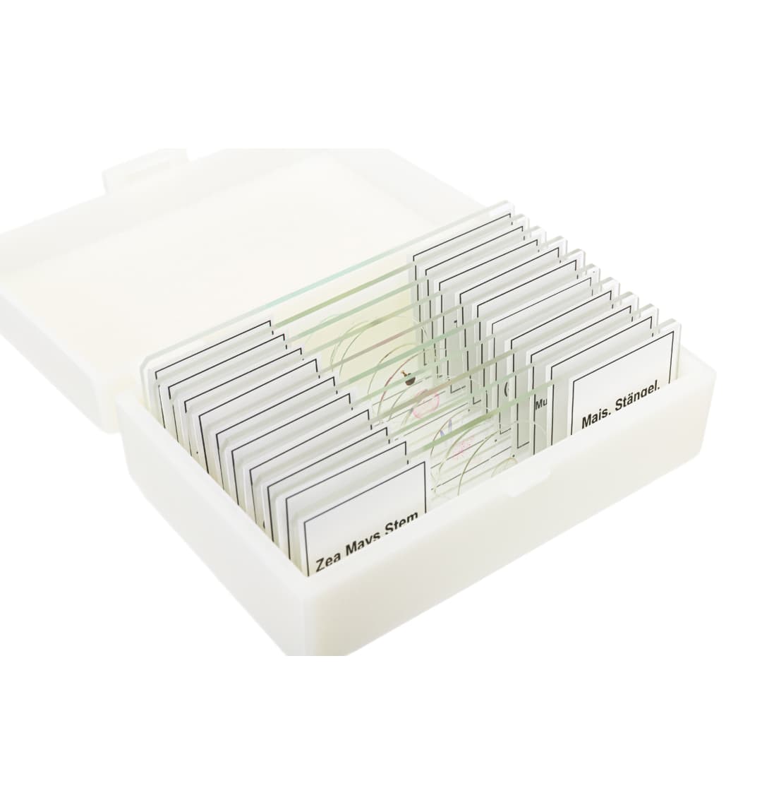 Набор микропрепаратов Bresser 10 шт., в кейсе