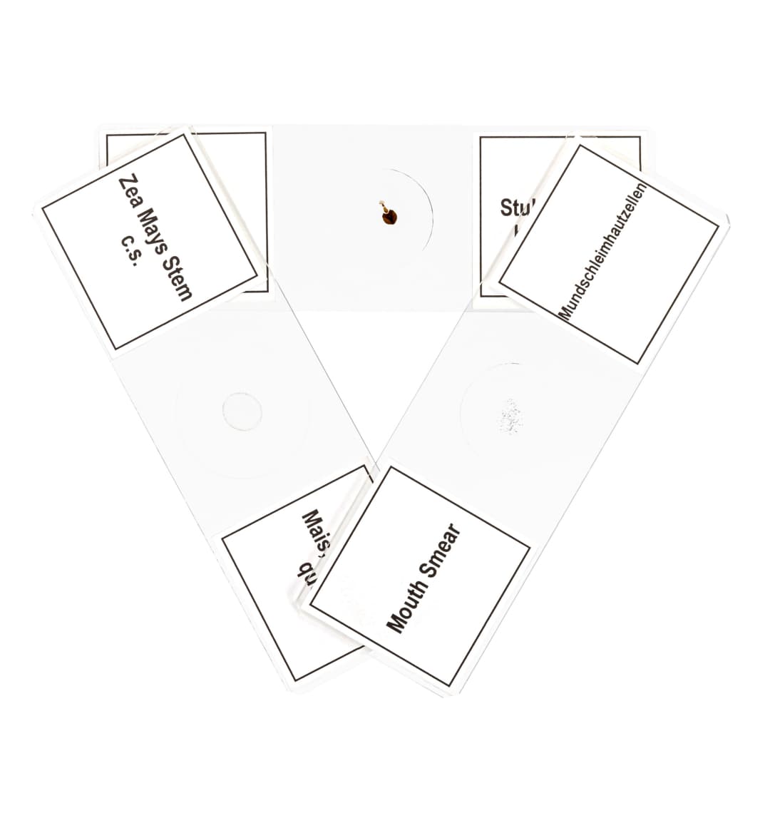 Набор микропрепаратов Bresser 10 шт., в кейсе