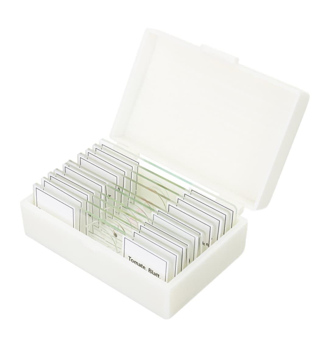 Набор микропрепаратов Bresser 10 шт., в кейсе