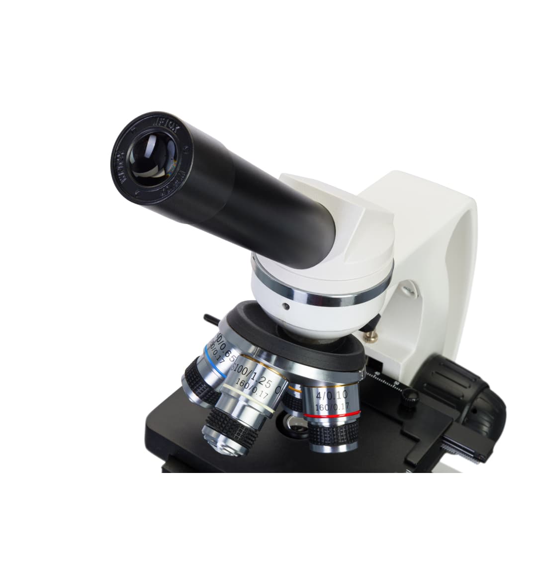 Микроскоп Levenhuk Discovery Atto Polar с книгой