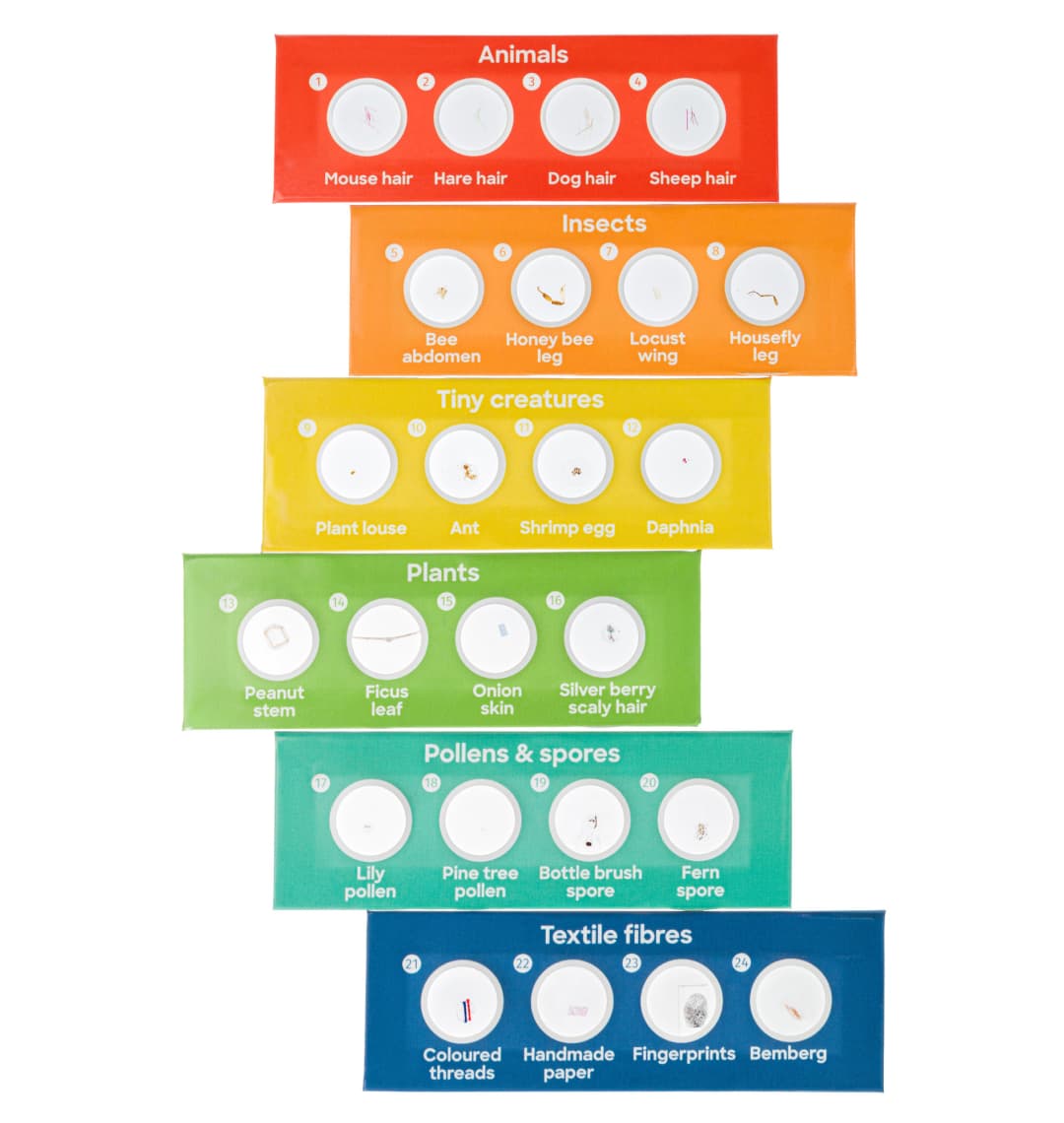 Микроскоп Levenhuk Discovery Micro Gravity с книгой