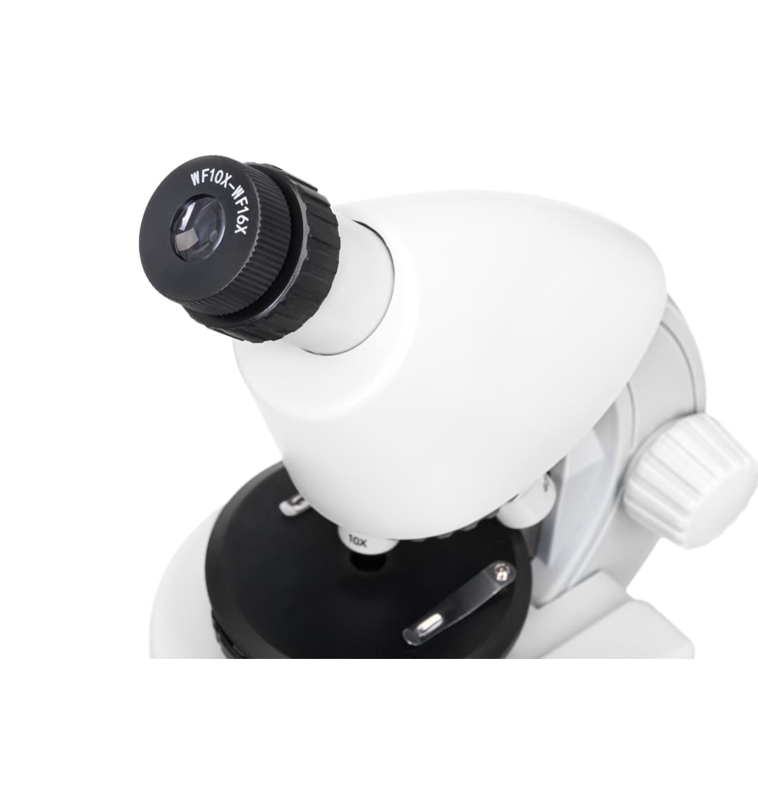 Микроскоп Levenhuk Discovery Micro Polar с книгой