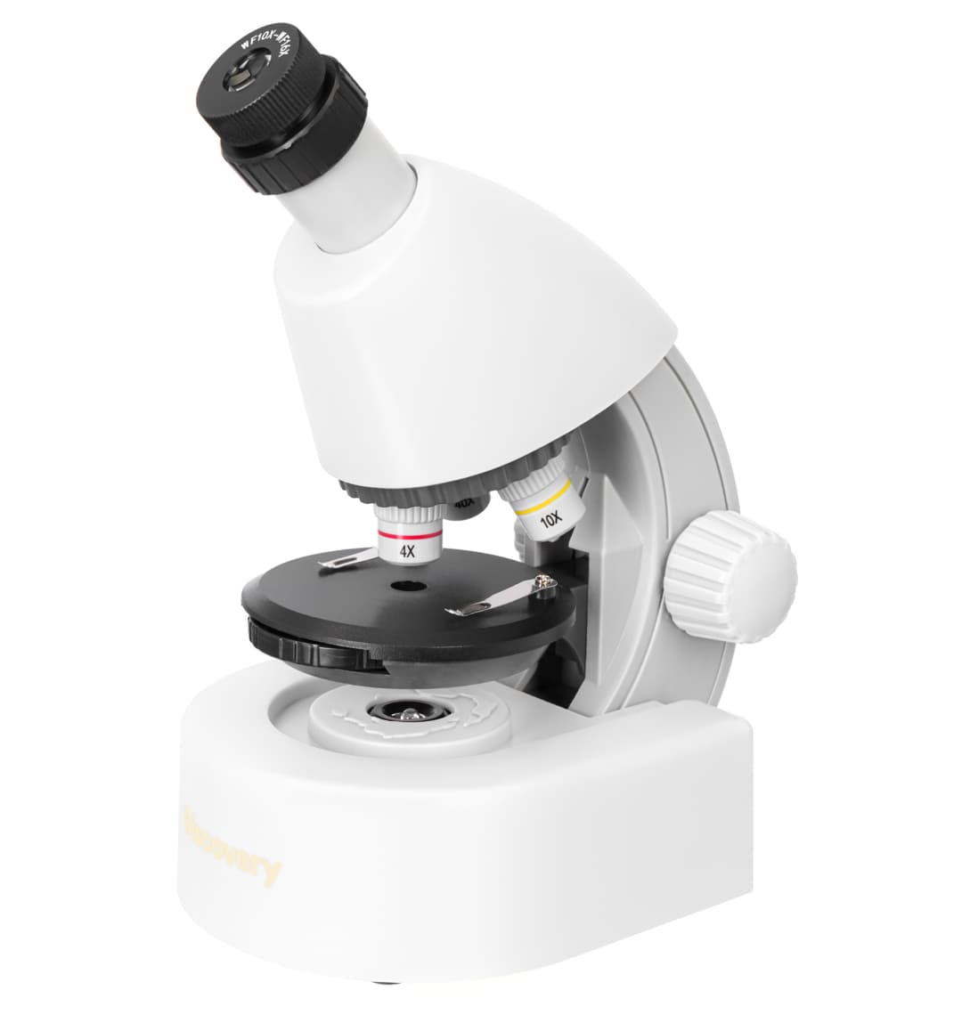 Микроскоп Levenhuk Discovery Micro Polar с книгой