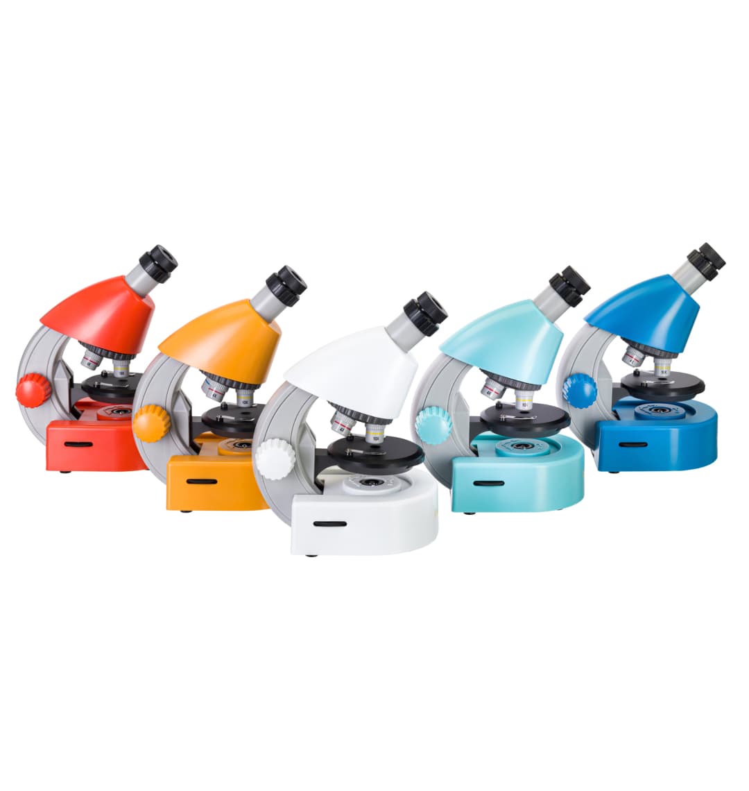 Микроскоп Levenhuk Discovery Micro Polar с книгой