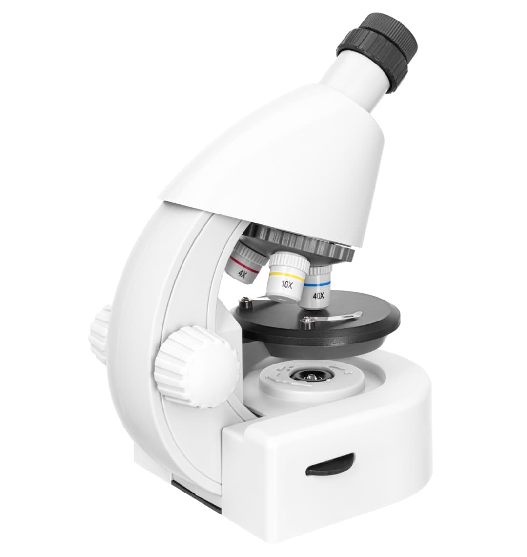 Микроскоп Levenhuk Discovery Micro Polar с книгой
